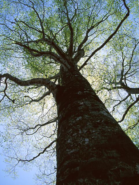 SEIKEN合同会社の紹介写真_2枚目