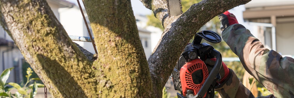 SEIKEN合同会社の画像