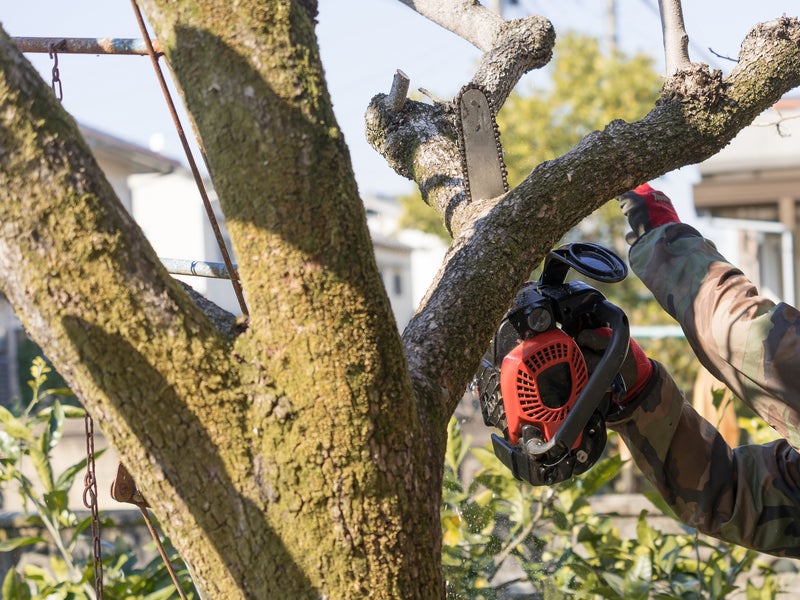 SEIKEN合同会社の画像
